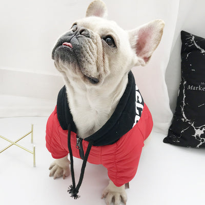 Ropa Térmica para Gatos y Perros Pequeños - Diseño Adorable de Dos Patas - Image 8