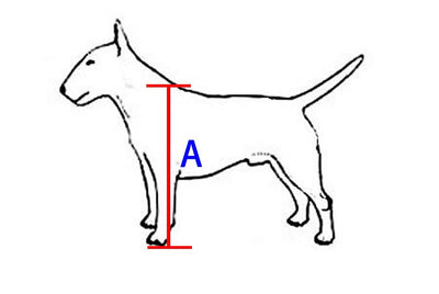 Silla de Ruedas para Perros - Completamente Ajustable - Image 17