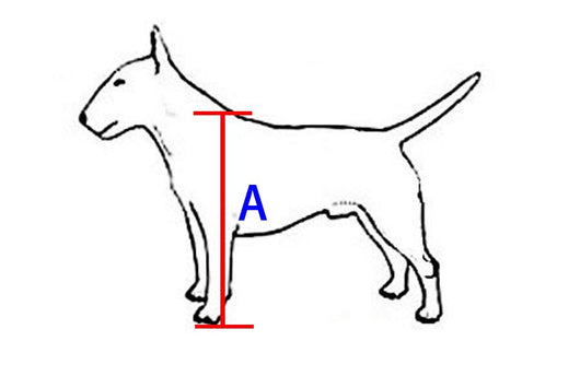 Silla de Ruedas para Perros - Completamente Ajustable - Image 17
