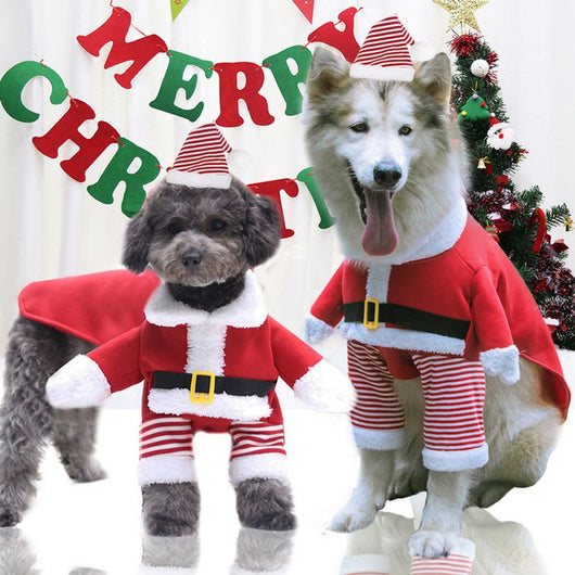 Ropa Térmica Divertida para Mascotas - Otoño e Invierno