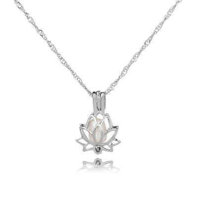 Collar de Perlas de Agua Dulce Serie Oyster Calado - Cadena Clavícula Elegante - Image 21
