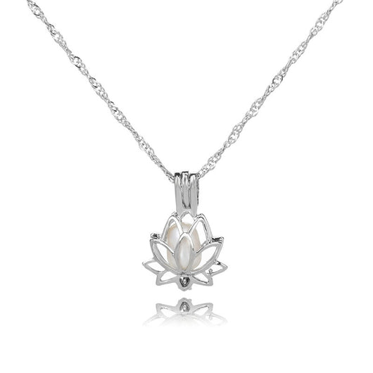 Collar de Perlas de Agua Dulce Serie Oyster Calado - Cadena Clavícula Elegante - Image 21