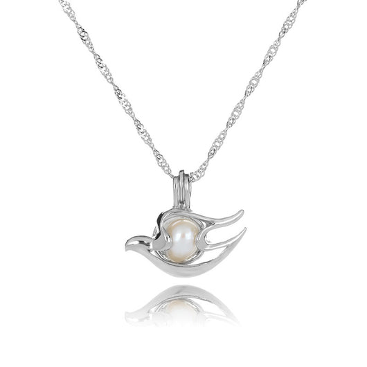 Collar de Perlas de Agua Dulce Serie Oyster Calado - Cadena Clavícula Elegante - Image 29