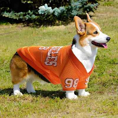Uniforme de Protección Solar para Perros - Camiseta Deportiva UV - Image 6
