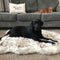 Colchoneta de Descanso para Perros en Felpa Beige