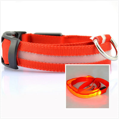 Collar LED Luminoso para Perros - Image 5