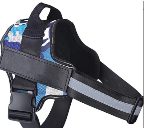 Correa y Cadena para Perro - Accesorios para Mascotas de Calidad Premium - Image 10