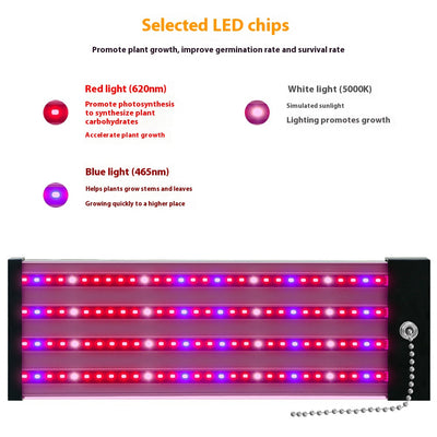 Barra LED de Espectro Completo para Plantas Suculentas - Image 3