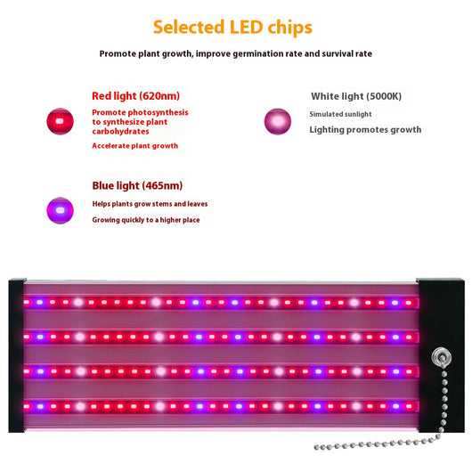 Barra LED de Espectro Completo para Plantas Suculentas - Image 3