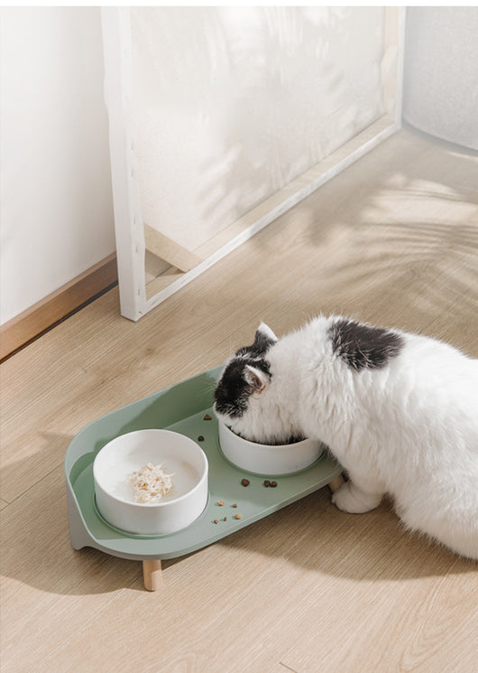 Comedero Doble Inclinado para Gatos y Perros - Protege Cuello con Diseño Antiderrame - Image 12