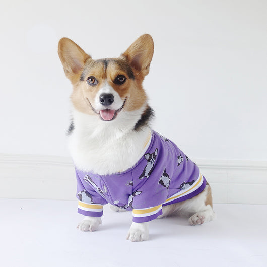Ropa de Invierno para Perros - Image 5