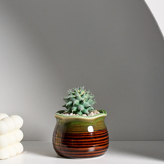 Maceta Decorativa de Cerámica para Suculentas