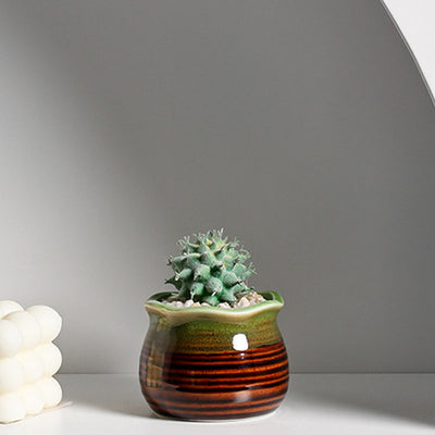 Maceta Decorativa de Cerámica para Suculentas