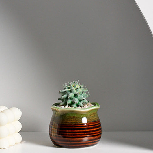 Maceta Decorativa de Cerámica para Suculentas