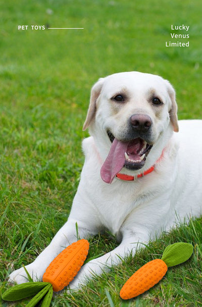 Juguete Masticable para Perros en Forma de Zanahoria - Goma Resistente con Sonido Chirriante - Image 8
