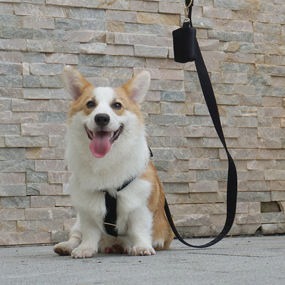 Mochila de Transporte para Mascotas - Arnés Dorsal Cómodo - Image 8