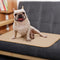 Tapete Absorbente para Mascotas