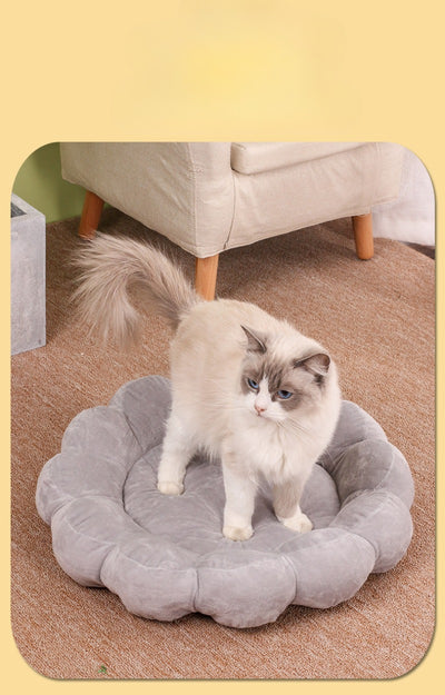 Cama Nido Doble Cara para Perros y Gatos 50x50cm - Diseño Pétalos Multicolor - Image 10