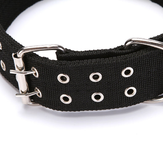 Collar para Perro - Image 5
