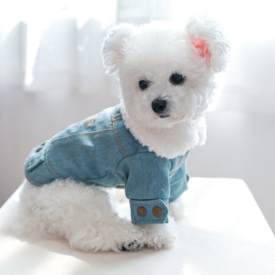 Abrigo de Mezclilla Gruesa para Mascotas con Letras Estampadas - Image 9