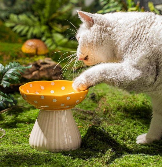 Comedero Elevado para Gatos con Diseño de Lunares y Cerámica Segura - Image 12