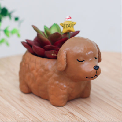 Maceta Decorativa Mascota Durmiente con Suculenta - Image 17