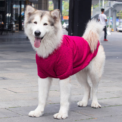 Suéter Abrigador de Lana para Perros - Comodidad y Calidez - Image 22