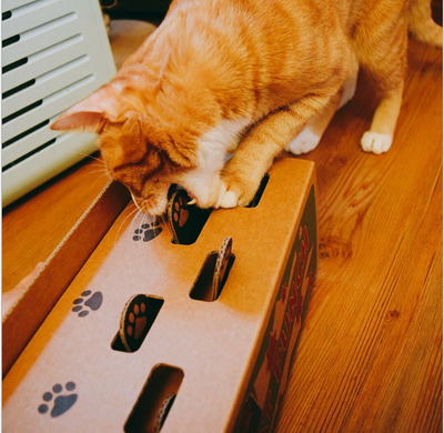 Juguete Interactivo de Cartón Corrugado para Gatos - Ratón Escondido - Image 4