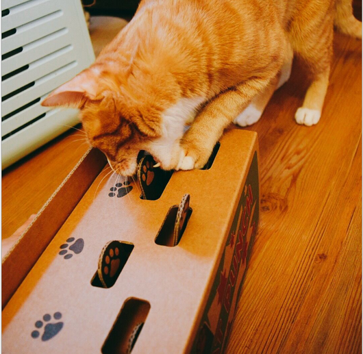 Juguete Interactivo de Cartón Corrugado para Gatos - Ratón Escondido - Image 4
