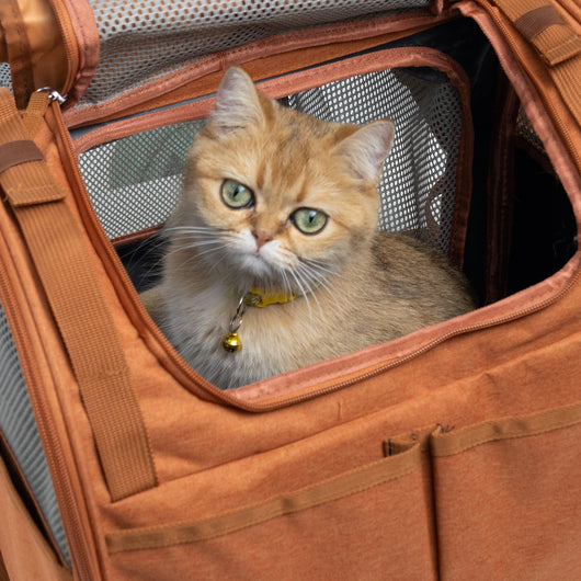 Mochila Transportadora Expandible para Gatos - Ligera y Respirable - Image 6