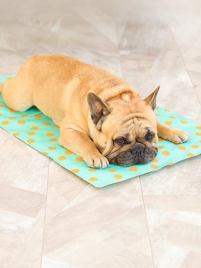 Almohadilla Gel Refrigerante para Mascotas - Image 11
