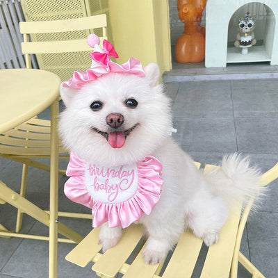 Pañuelo Fiesta Cumpleaños Perro y Gato - Babero Bandana Mascota con Diseño Joyero - Image 28