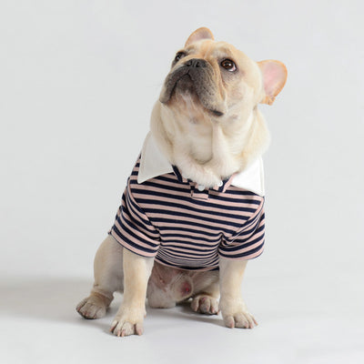 Suéter Polar a Rayas para Mascotas - Abrigo Cálido y Casual - Image 12
