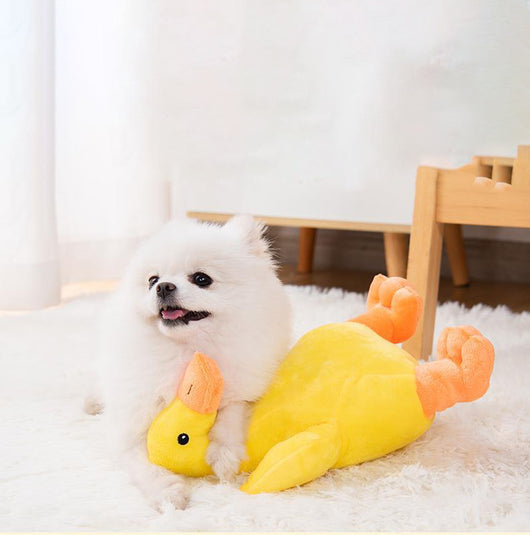 Juguete para Perros Pato Sonoro de Peluche - Resistente y Entretenido - Image 5