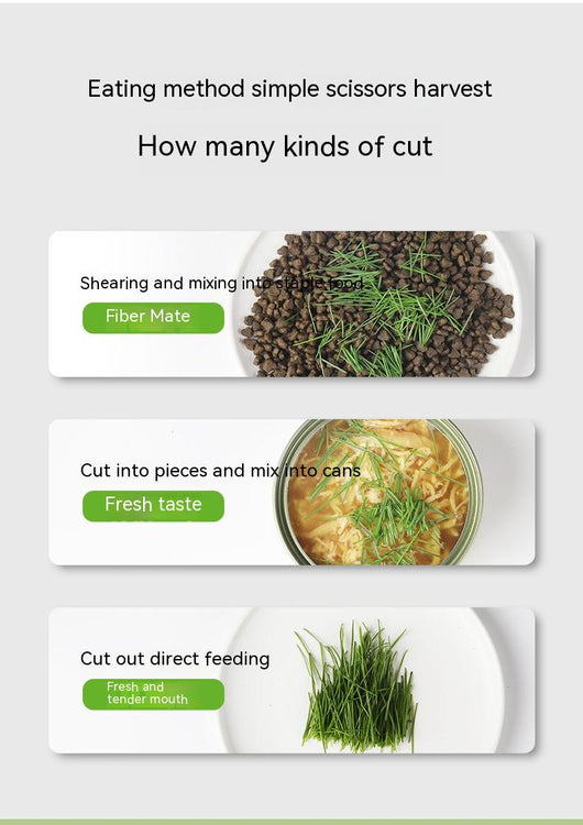 Mint green hydroponic cat grass cup with fresh rye and wheat grass, including 3 packs of each seed type. - Image 10