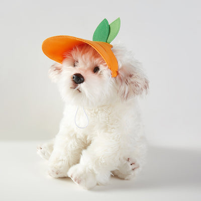 Gorro Protector Solar para Mascotas con Protección UV - Image 12