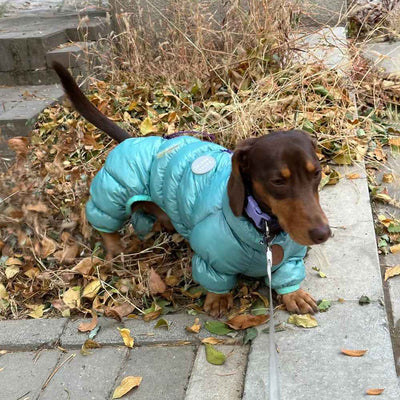 Ropa Térmica Acolchada para Mascotas en Otoño e Invierno - Image 3