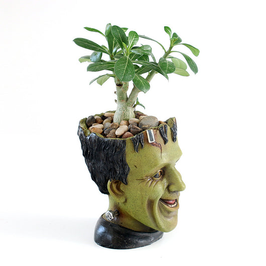 Maceta Decorativa Personalizada Frankenstein - Contenedor de Resina para Escritorio - Image 3