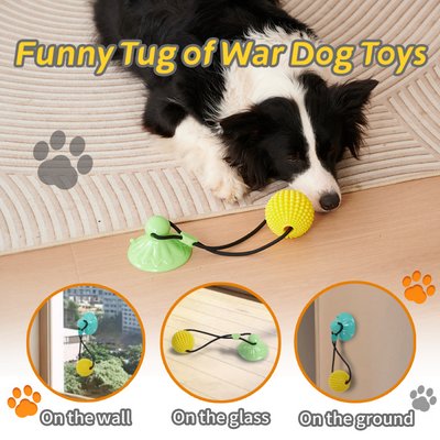 Juguete Masticable de Maíz con Ventosa - Juego Interactivo de Tracción para Perros Medianos y Grandes - Image 5