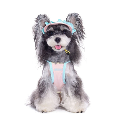 Gorra para Perros Pequeños con Orejas Descubiertas - Bichón, Schnauzer - Image 4