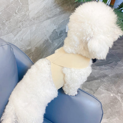 Arnés de Pecho para Perro con Correa de Algodón Tejido - Image 8
