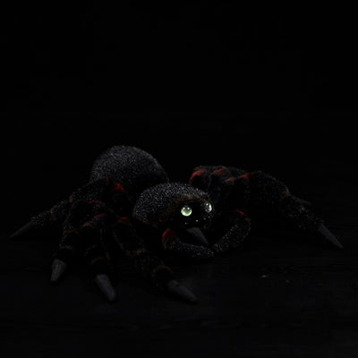 Muñeco Araña Realista - Juguete Educativo de Simulación Animal - Image 6