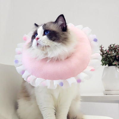 Collar Isabelino Suave para Gatos - Protección Anti-Lamido Postoperatorio