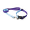 Light Sky Blue Gradient Collar and Leash XS