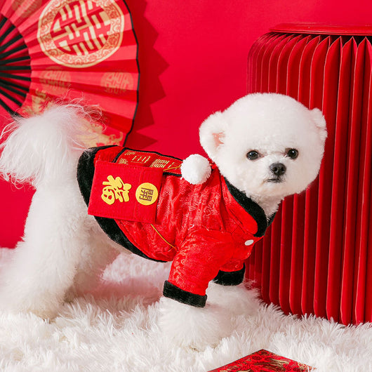 Ropa Festiva de Año Nuevo para Perros Pequeños y Gatos - Diseño de Dos Patas - Image 10