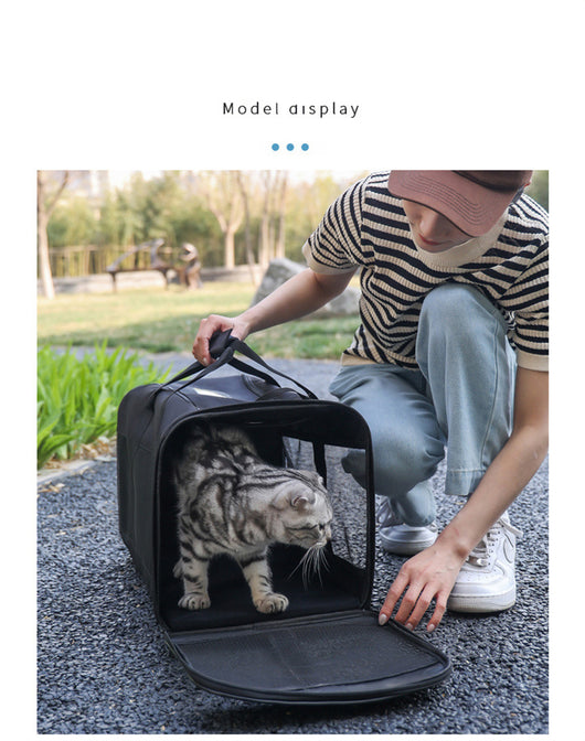 Transportín Portátil Plegable para Perros y Gatos - Bolsa de Viaje Respirable - Image 17