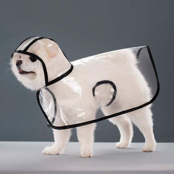 Impermeable Transparente para Perros