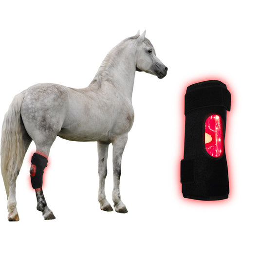 Dispositivo Portátil de Fototerapia para Recuperación de Espalda y Rodillas en Caballos - Image 10