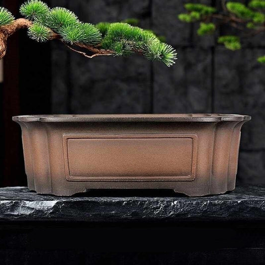 Maceta Rectangular de Barro Púrpura para Bonsái