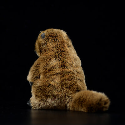 Peluche de Marmota Adorable - Modelo de Animal Realista - Image 3